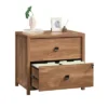 Cannery Bridge Lateral File Sindoori Mango - Sauder