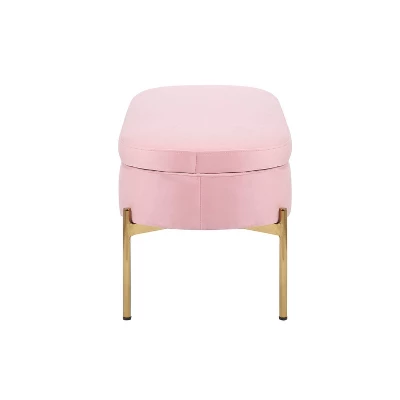 48" Chloe Storage Bench Velvet/Metal Gold/Blush Pink - LumiSource - Image 2