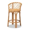 Orchard Rattan Counter Height Barstool Natural/Brown - Bali & Pari